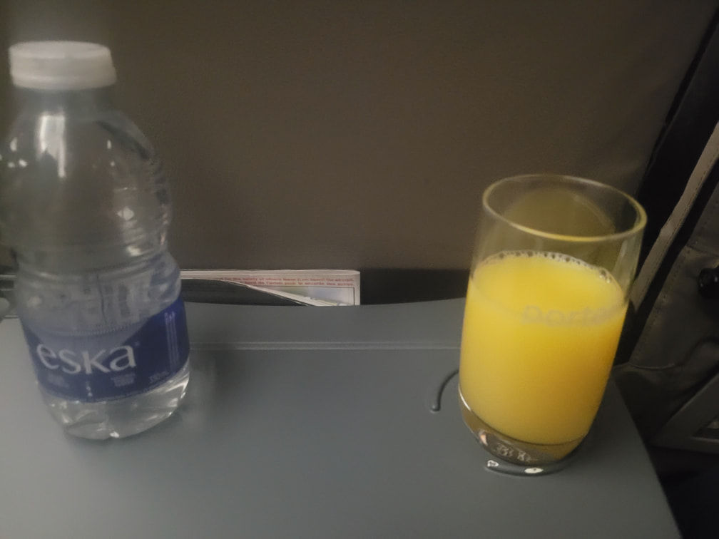 Is Porter Airlines Any Good? A Full Look At The
