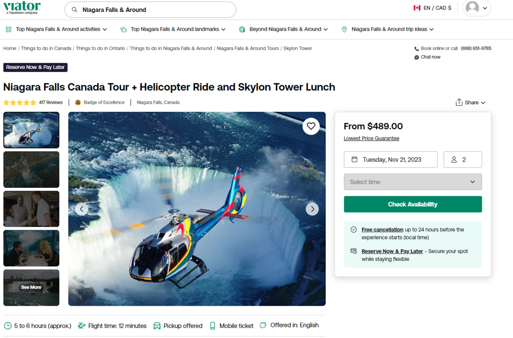 Viator Niagara Falls helicopter tour