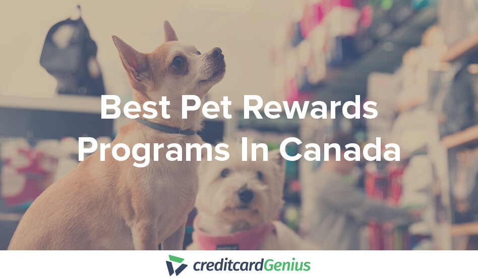 Best Pet Rewards Programs In Canada