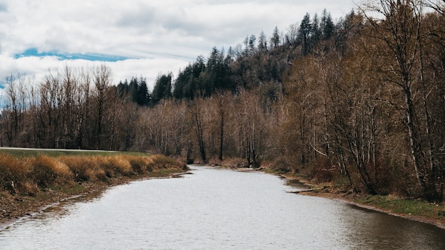 Looking down a river in Abbotsford