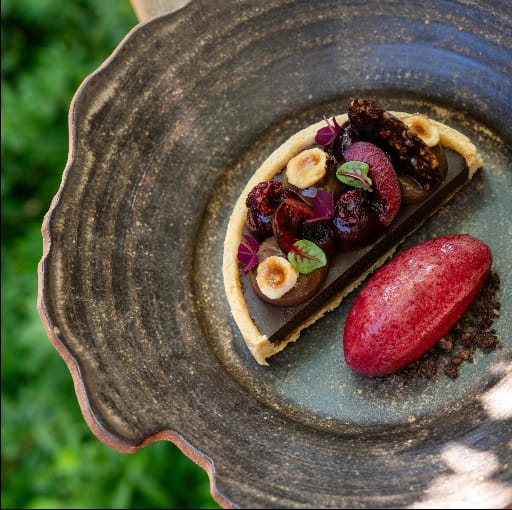 Oxalis dish
