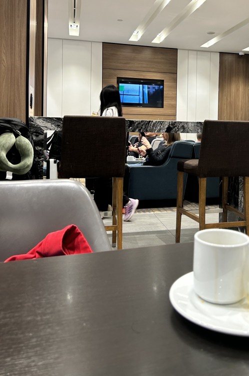 Television and bar seating at the Plaza Premium Lounge Transborder Toronto Airport